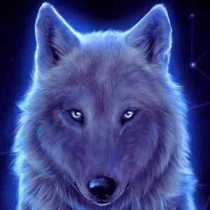 Meet your Posher, Phyllis